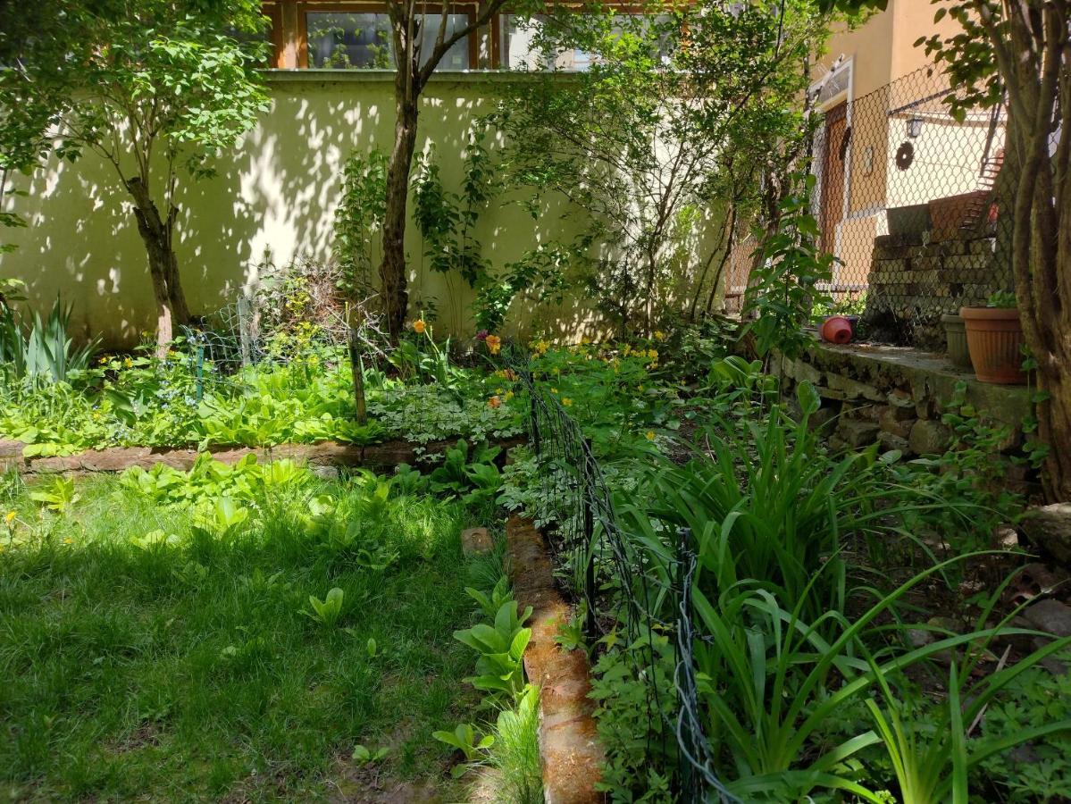 Charming Central Home With Garden Near Parking And Ndk Sofie Exteriér fotografie