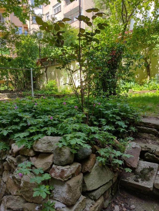 Charming Central Home With Garden Near Parking And Ndk Sofie Exteriér fotografie
