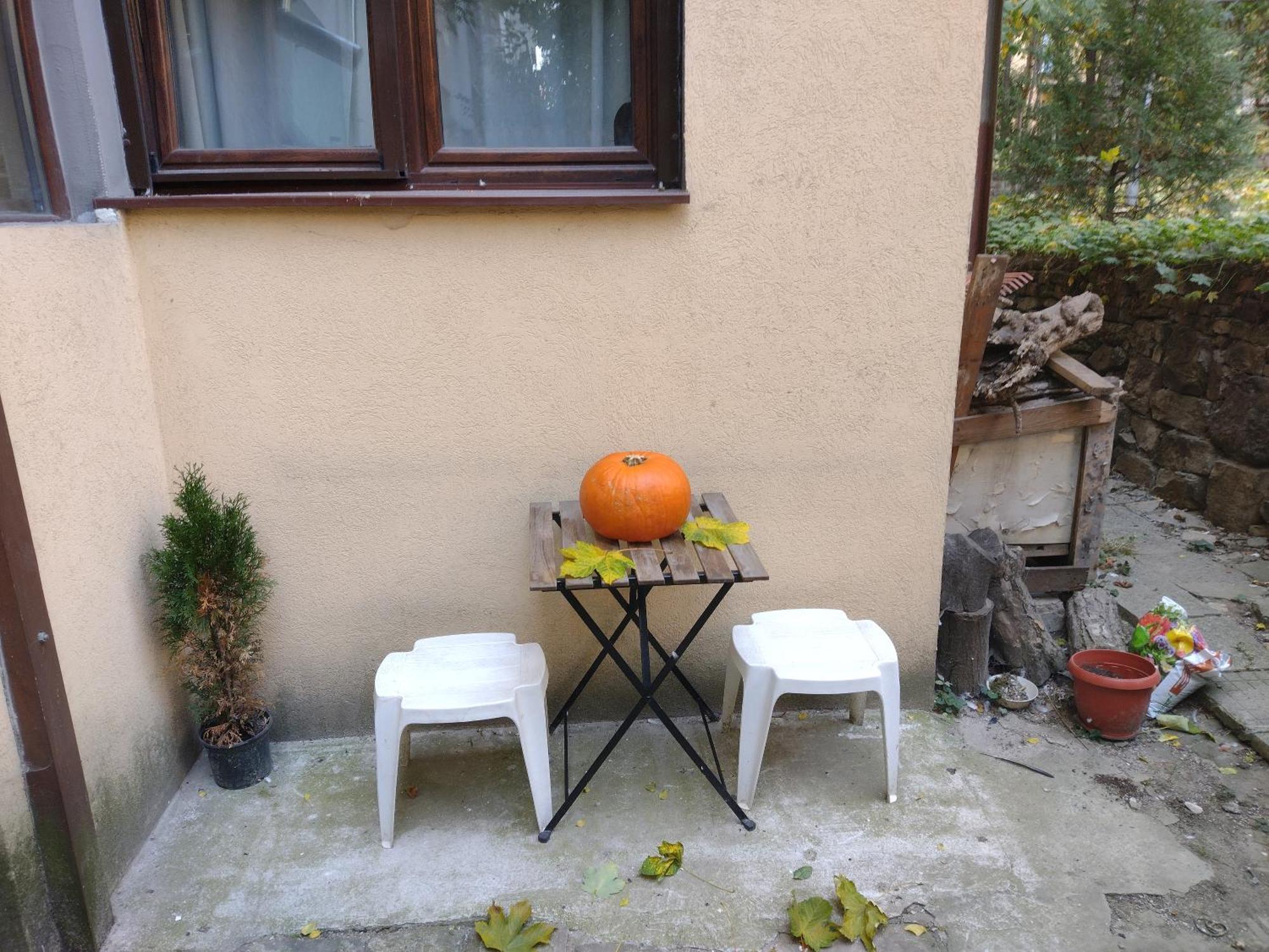 Charming Central Home With Garden Near Parking And Ndk Sofie Exteriér fotografie